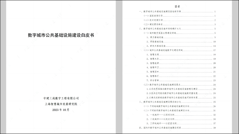 數(shù)字城市公共基礎(chǔ)設(shè)施建設(shè)白皮書.jpg