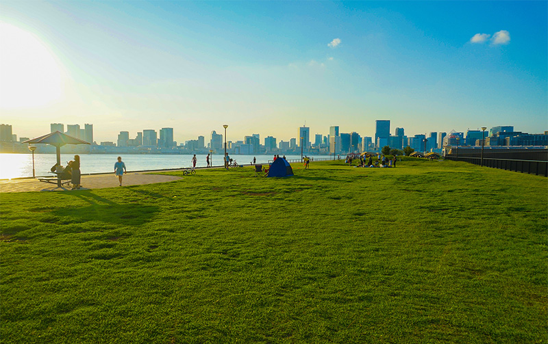 海綿城市.jpg 海綿城市.jpg